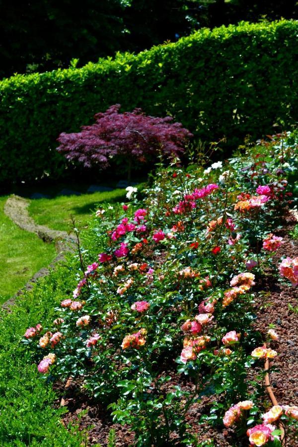 Le Grigne Guesthouse - The Garden Oliveto Lario Exteriér fotografie