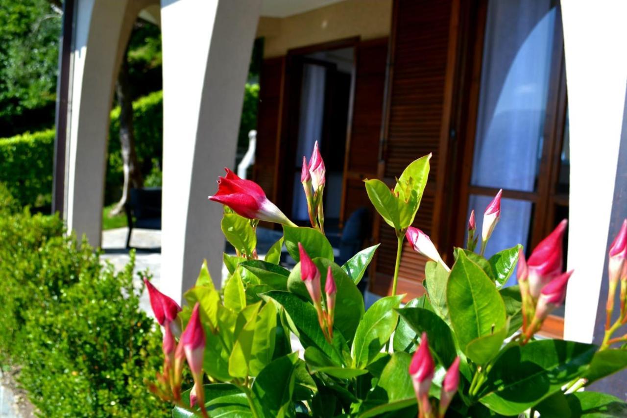 Le Grigne Guesthouse - The Garden Oliveto Lario Exteriér fotografie